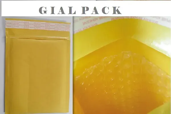 ΦΑΚΕΛΟΣ ΜΕ ΦΥΣΑΛΙΔΕΣ (15x18+4)